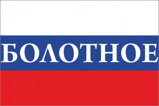 Флаг России с названием города Болотное