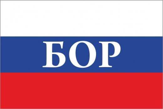 Флаг России с названием города Бор