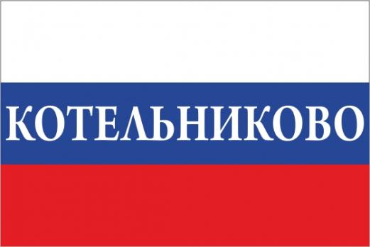 Флаг России с названием города Котельниково