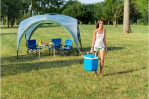 Изотермический контейнер (термобокс) Campingaz Icetime Plus (30 л.)