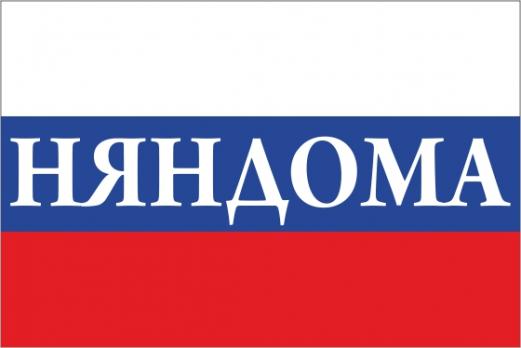 Флаг России с названием города Няндома