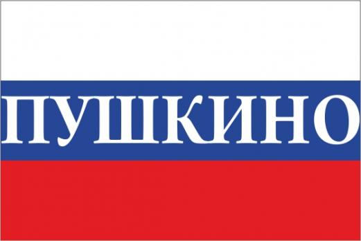 Флаг России с названием города Пушкино