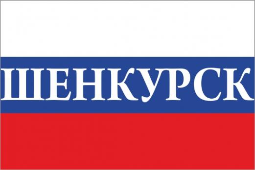 Флаг России с названием города Шенкурск
