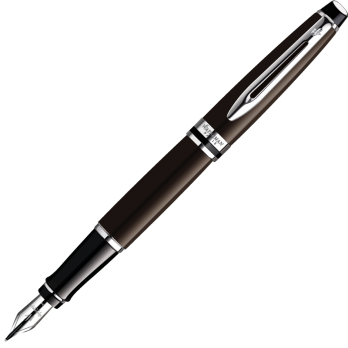 Waterman Expert - Brown CT, перьевая ручка, F