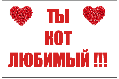 Флаг ТЫ КОТ ЛЮБИМЫЙ!!!