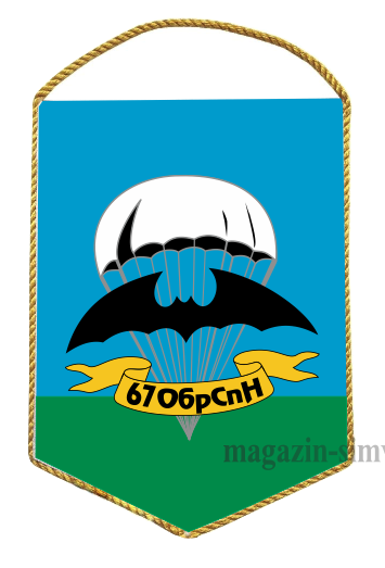Вымпел 67 ОБрСпН
