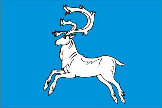 Флаг Вилюйска