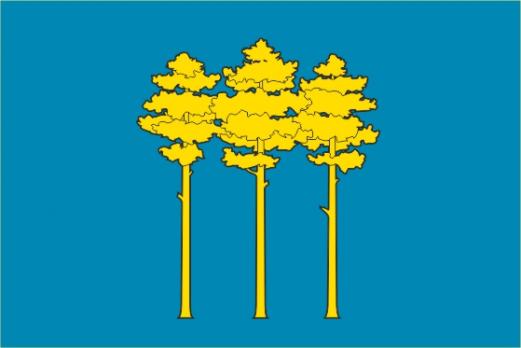 Флаг Димитровграда