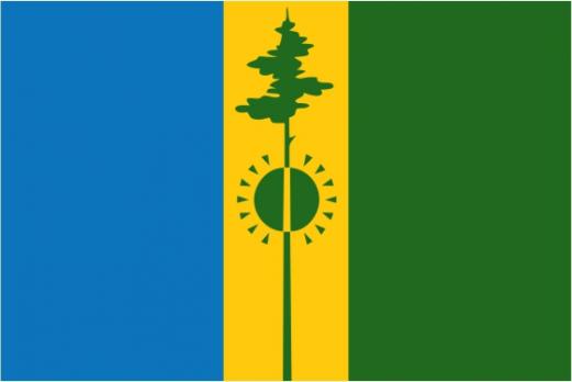 Флаг Нижнекамска