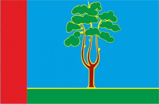  Флаг  Черноголовки